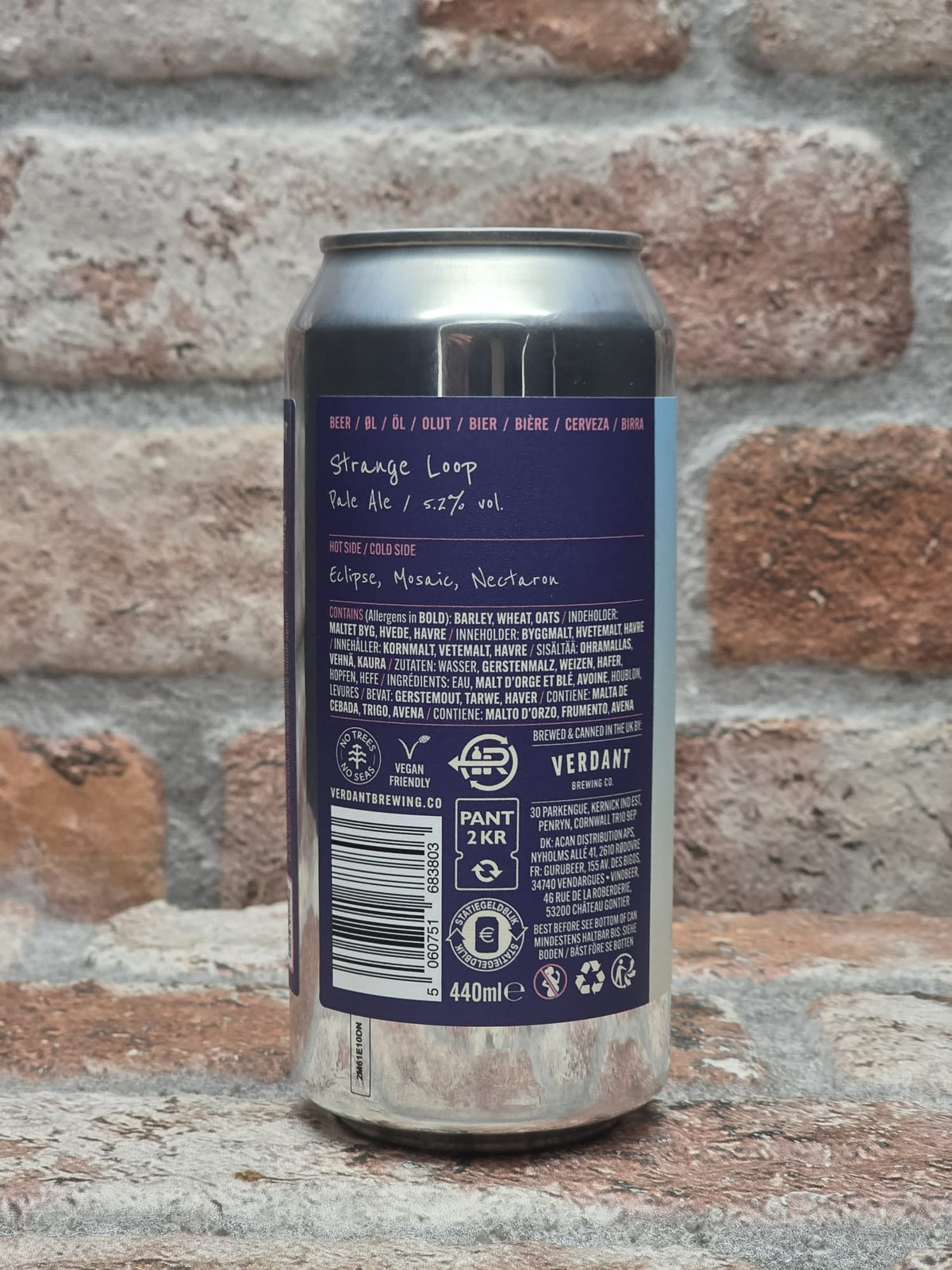 Verdant Brewing Co Strange Loop Ale - 44 CL