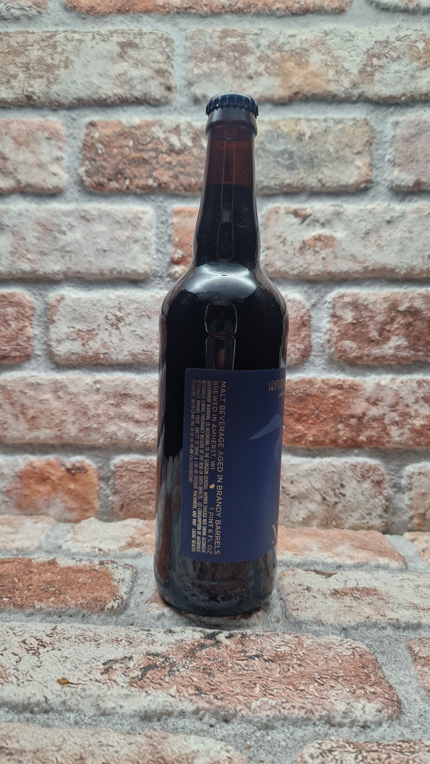 Central Waters Brewing Company Twenty Three (XXIII) - Brandy Variant Stout - 75 CL