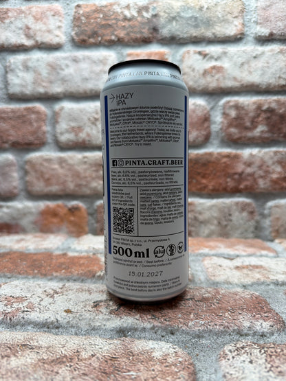 PINTA Hazy Discovery Groningen IPA - 50 CL