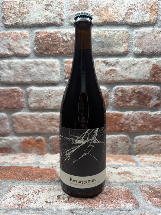 Brouwerij Bliksem Resurgemus Stout - 75 CL