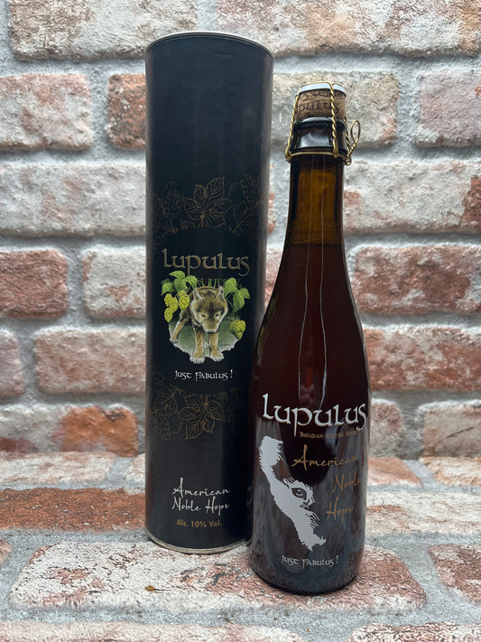 Lupulus American Noble Hops 2024 Tripel - 37.5 CL
