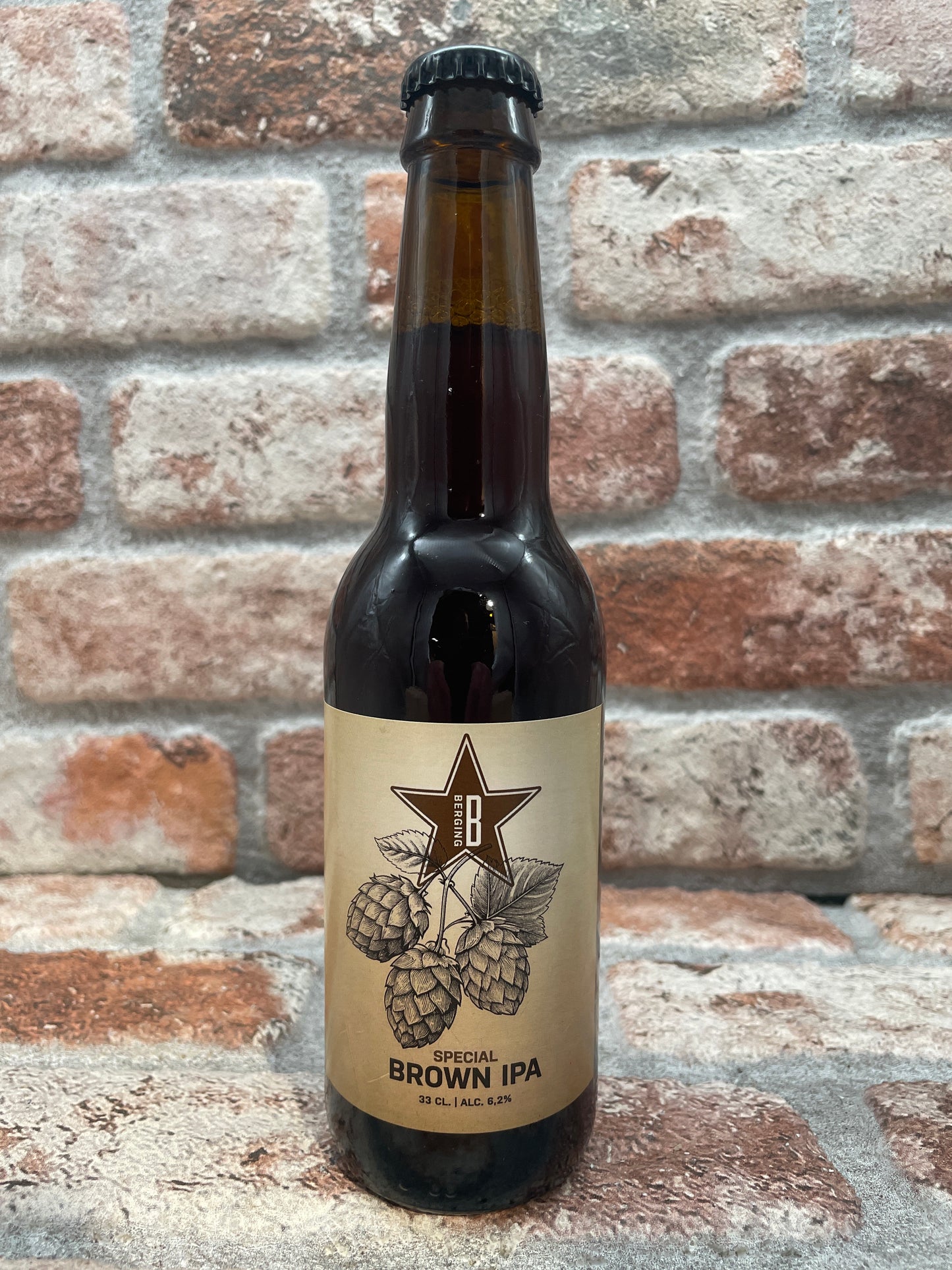 Berging Brouwerij Berging Sp.01 IPA - 33 CL