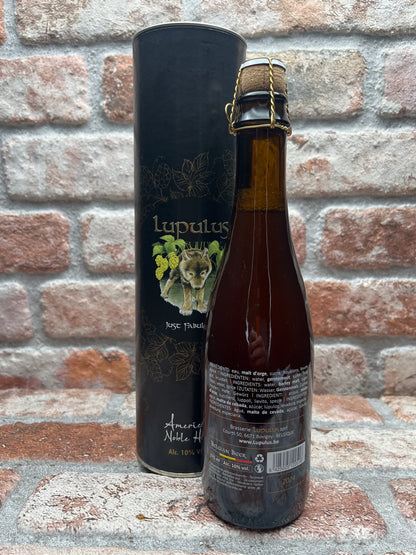 Lupulus American Noble Hops 2024 Tripel - 37.5 CL