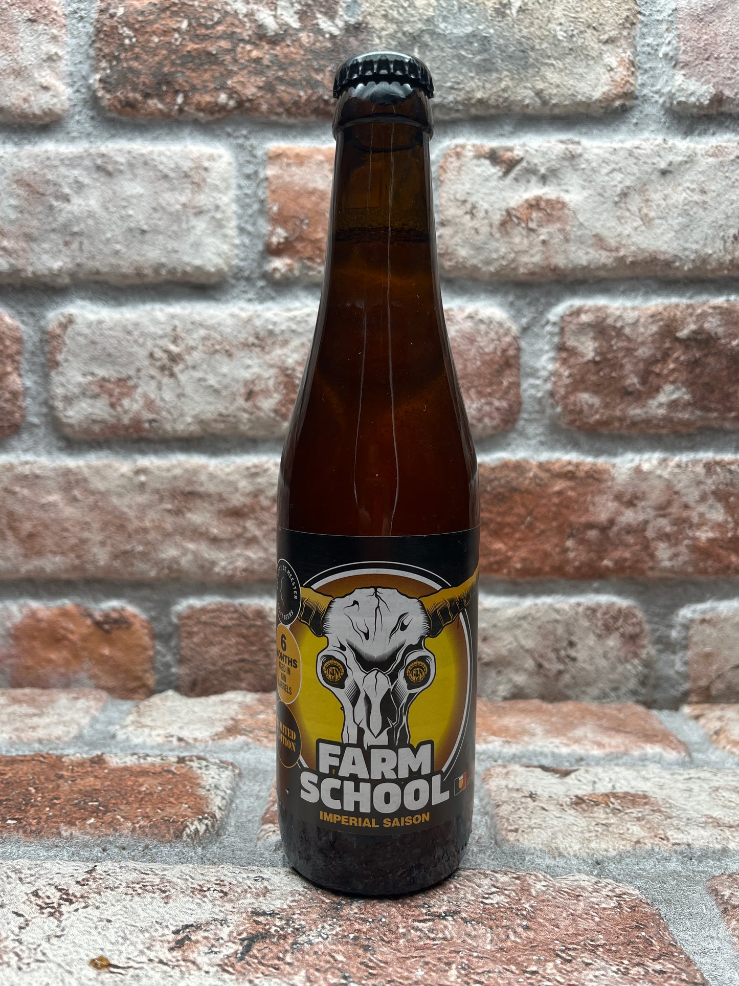 De Meester Farm School Saison Ale - 33 CL