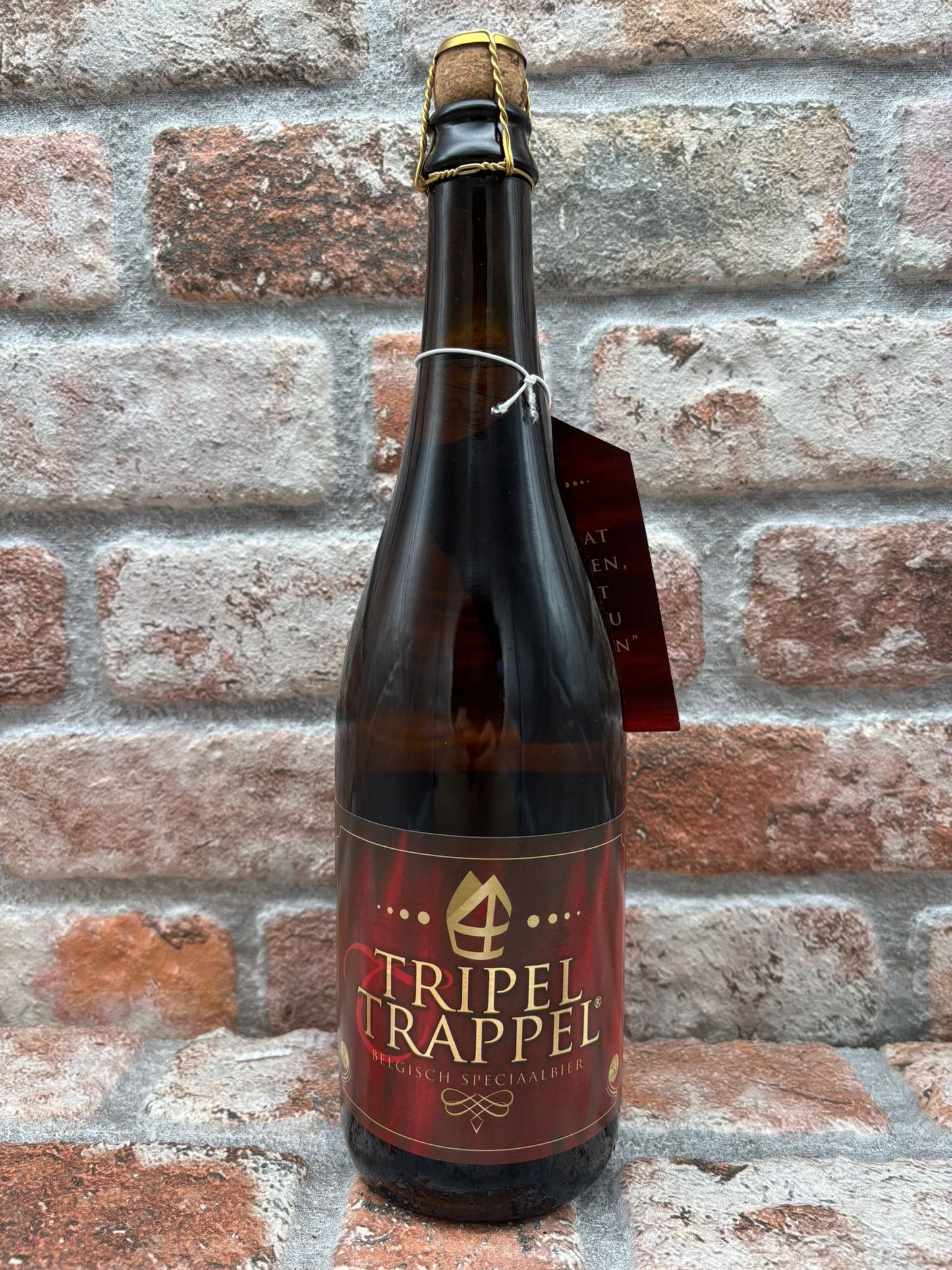 Brouwerij van Steenberge Tripel Trappel Tripel - 75 CL