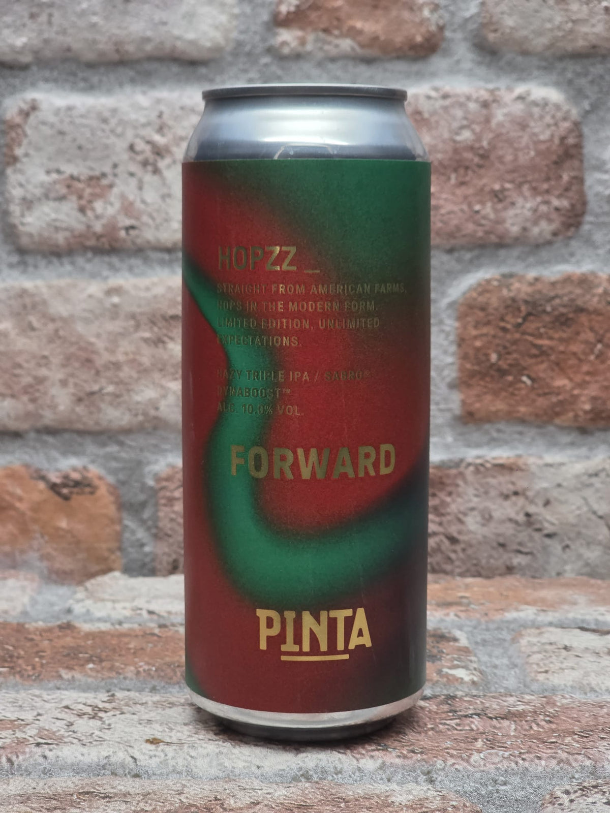 PINTA Hopzz_ Forward IPA - 50 CL