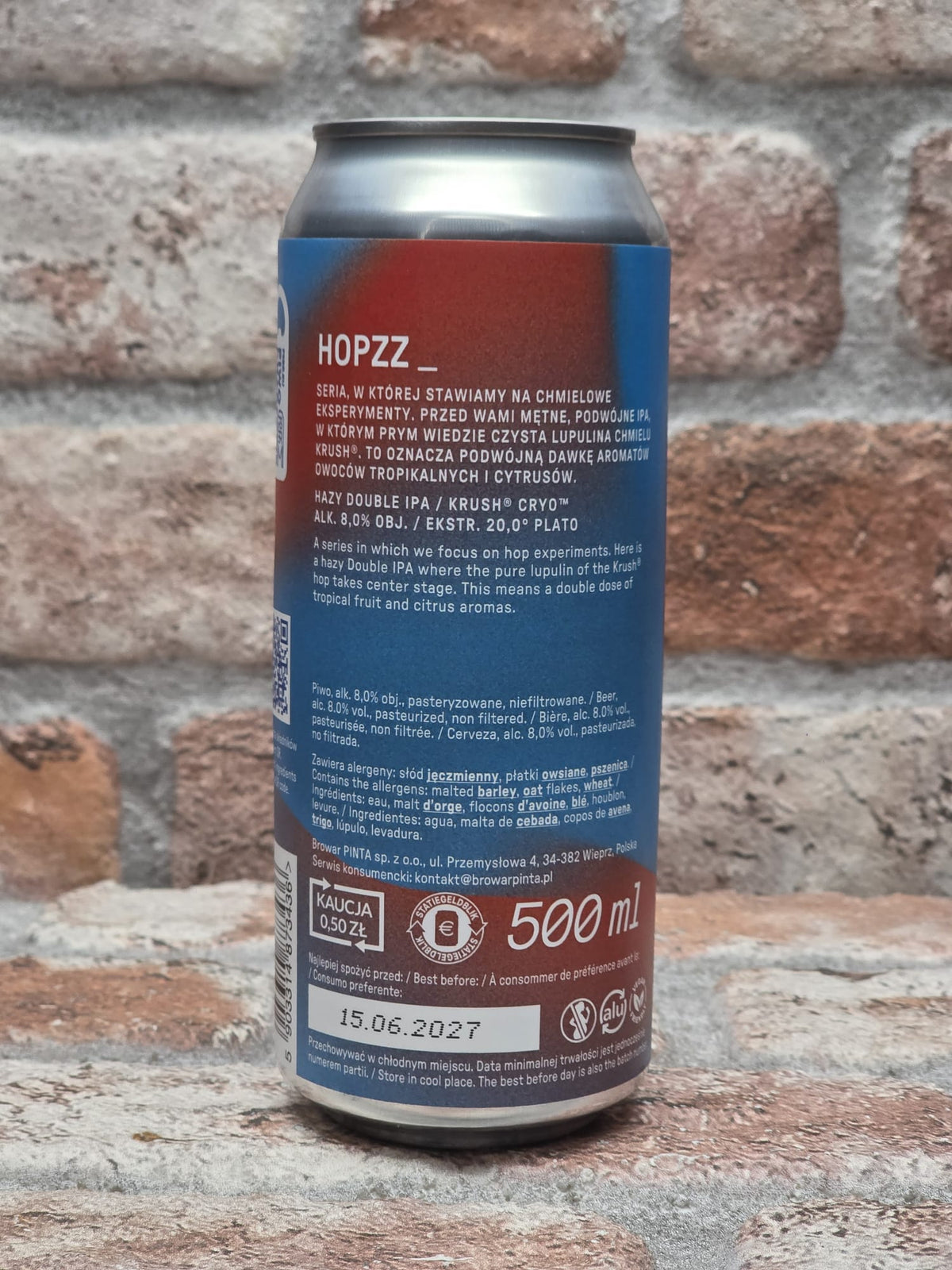 PINTA Hopzz_ Impact IPA - 50 CL