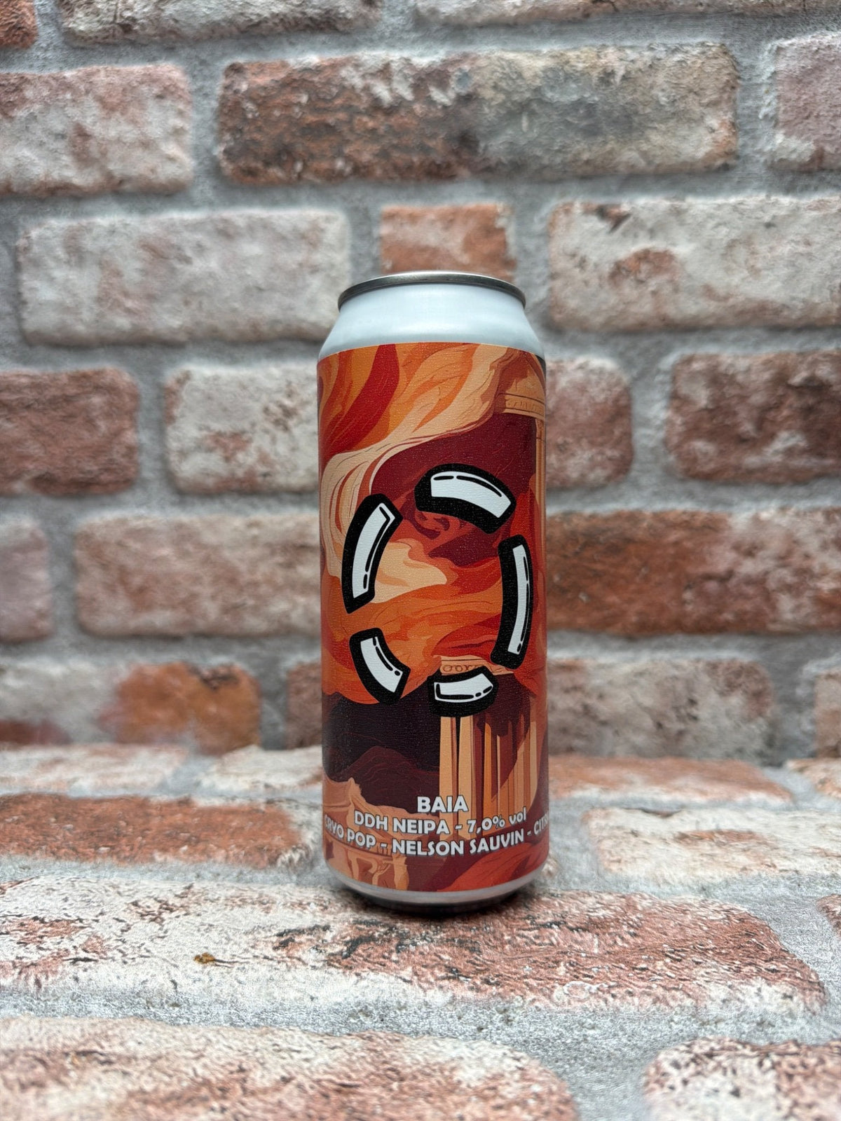 Brouwerij LOST BAIA