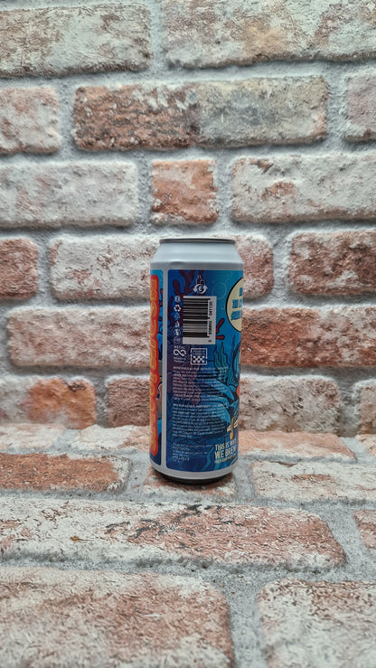 Pulfer Brewery Smoothiesh: Why Did the Crab Never Share His Toys? Sour - 50 CL