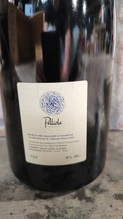 Pellicle Enter The Dragon 2023 Lambiek/Geuze -